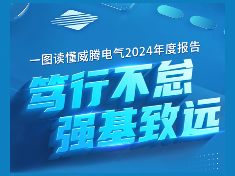 一图读懂88858cc永利官网电气2024年度报告